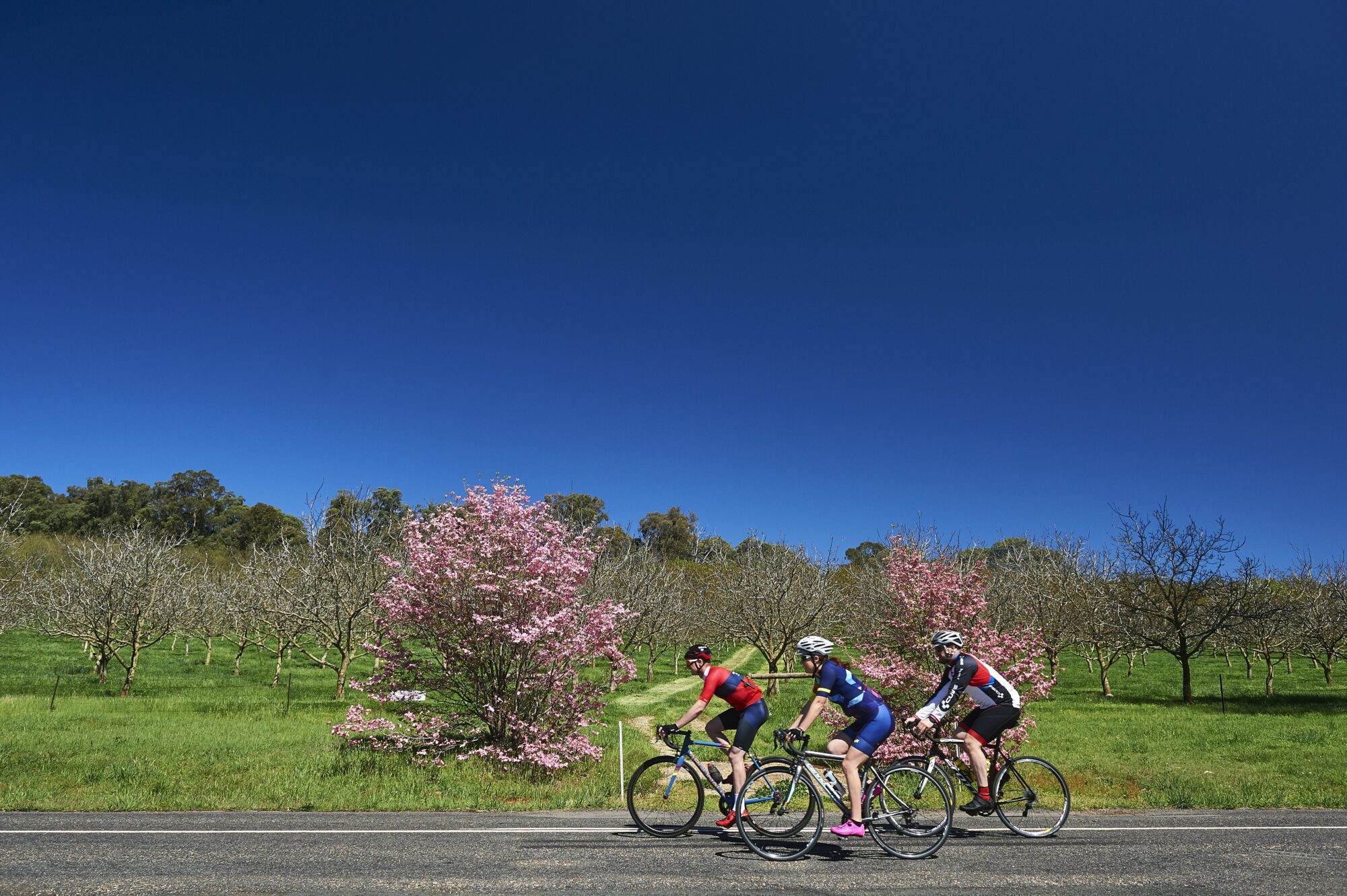 Rutherglen road cycling